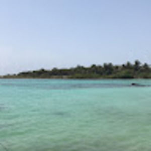 Meet your Posher, Isabel